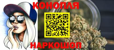 СК Новодвинск