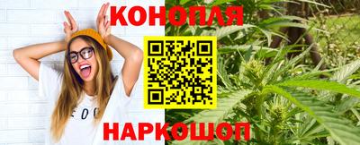 мяу мяу мука Новокубанск