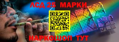 СК Новодвинск