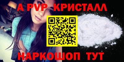 СК Новодвинск
