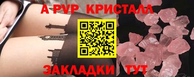 СК Новодвинск