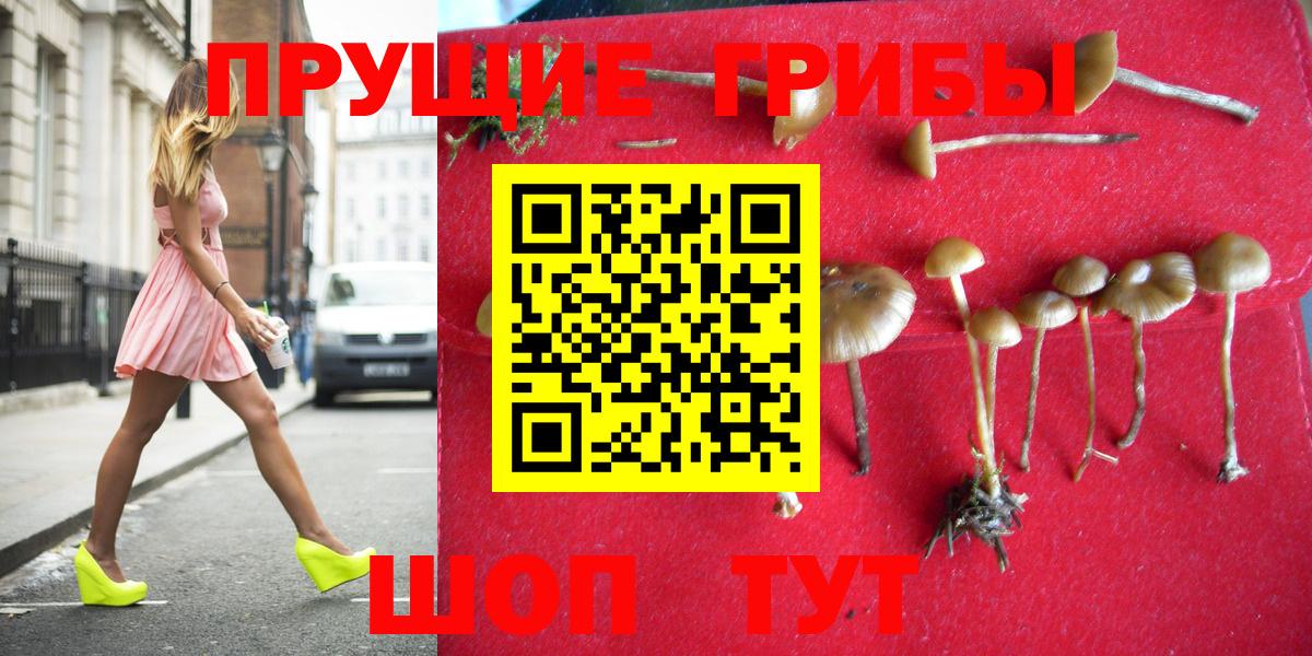 закладка  Вход с VPN  Псилоцибиновые грибы ЛСД  Азнакаево  Галлюциногенные грибы мицелий 